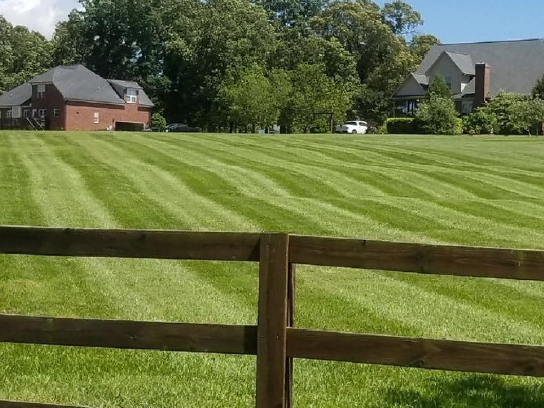 Expert lawn care and landscaping services you can count on 